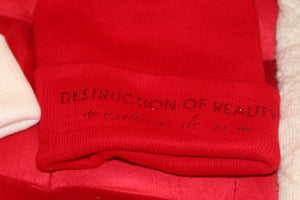 Limited Edition Destruction Of Reality CC Beanie