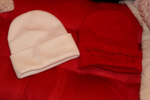 Limited Edition Destruction Of Reality CC Beanie